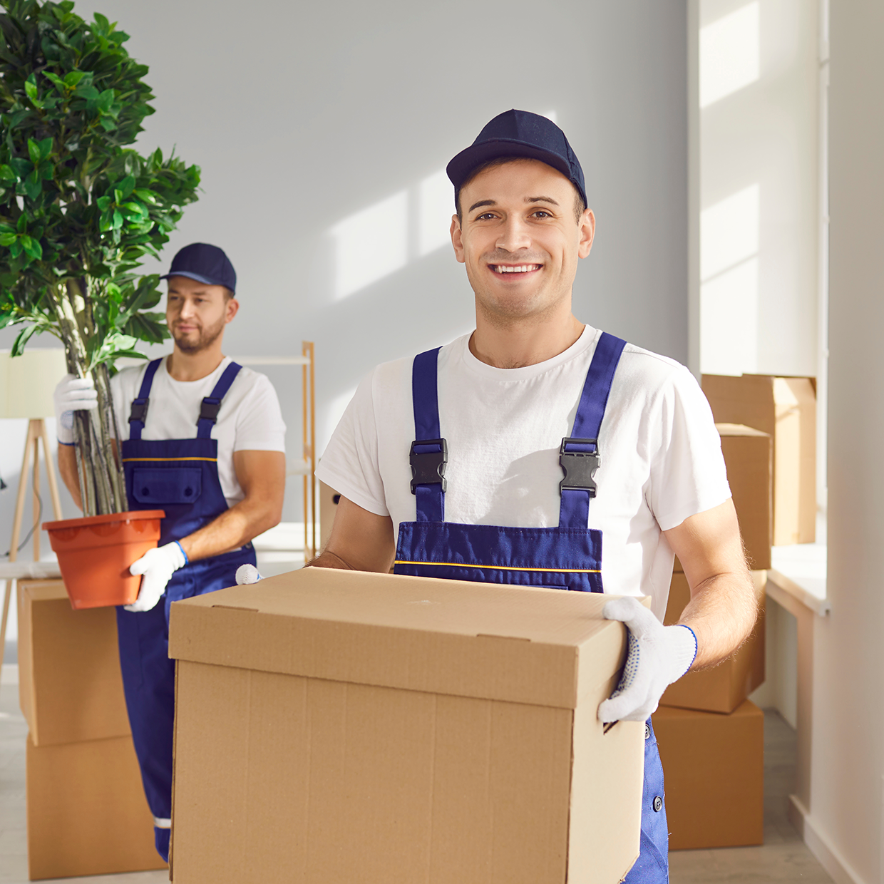 Moving Pro LA contact — request a moving quote